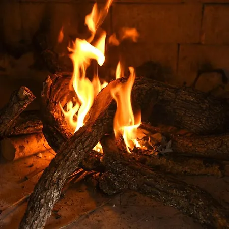 Magnolia By * سبليت